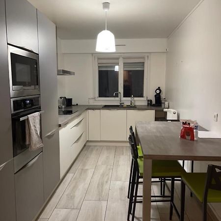 Superbe Appartement Avec Place De Parking Gratuit Strazburg Dış mekan fotoğraf