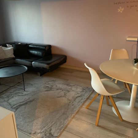 Superbe Appartement Avec Place De Parking Gratuit Strazburg Dış mekan fotoğraf