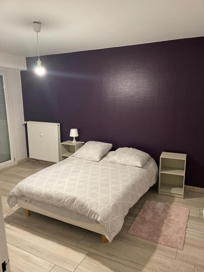 Superbe Appartement Avec Place De Parking Gratuit Strazburg Dış mekan fotoğraf