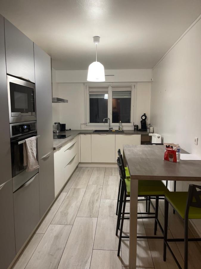 Superbe Appartement Avec Place De Parking Gratuit Strazburg Dış mekan fotoğraf